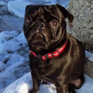 Meet your Posher, Margaret